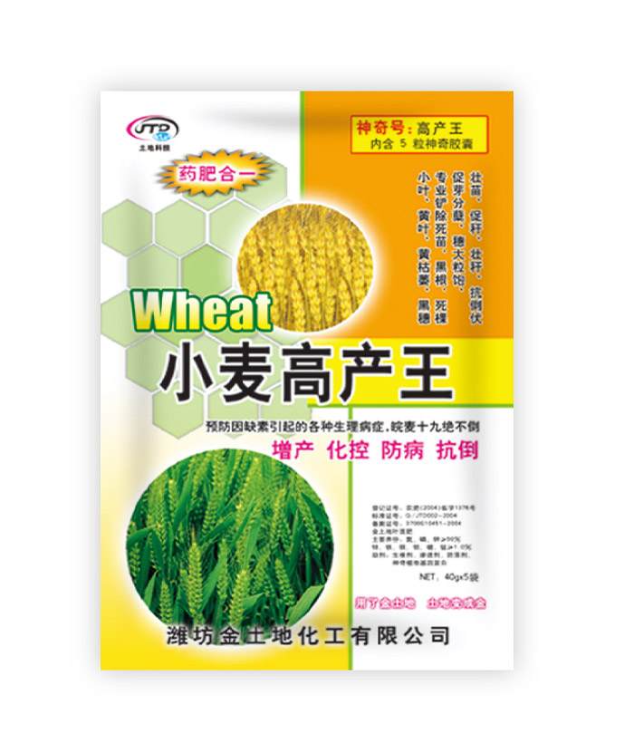 小麥高產王